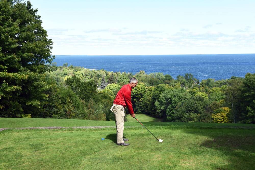 Alpine Resort & Golf - photo 11