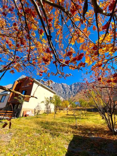 Villa Kazbegi