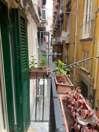 Ginevra house — 4-Star Luxury Hotel in Naples, Italy