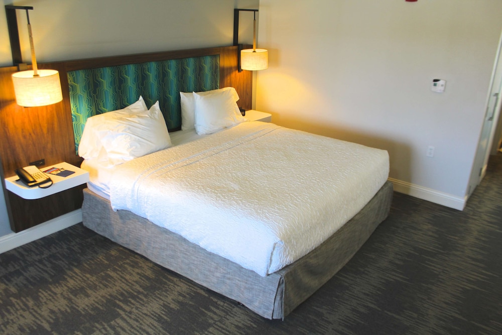 Hampton Inn & Suites Sarasota Bradenton Airport FL - photo 19