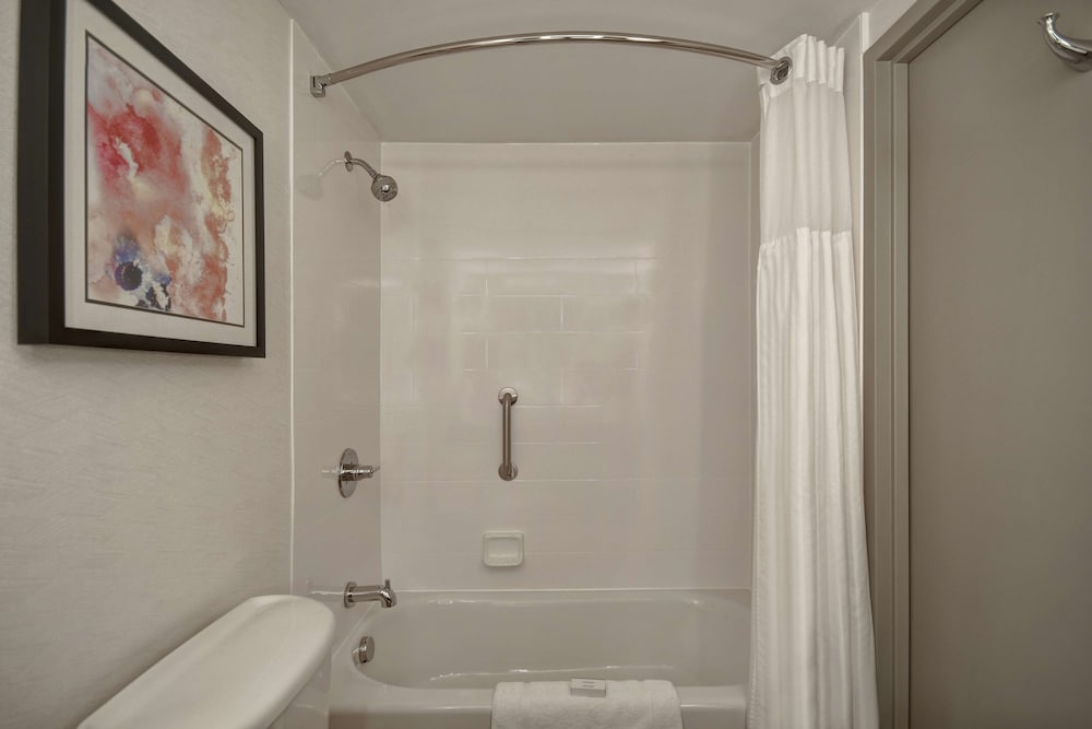 Hilton Garden Inn Detroit Metro Airport - photo 10