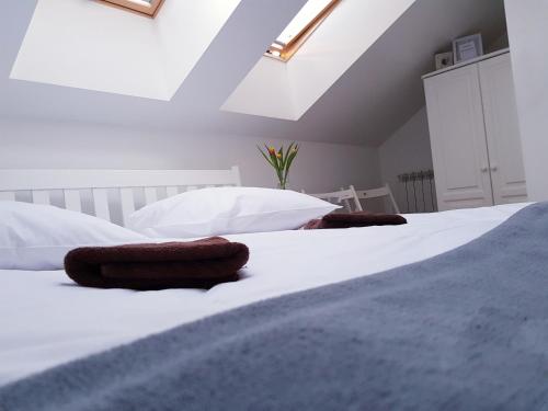 Noclegi Przystanek Bieszczady w Centrum in Ustrzyki Dolne, Poland