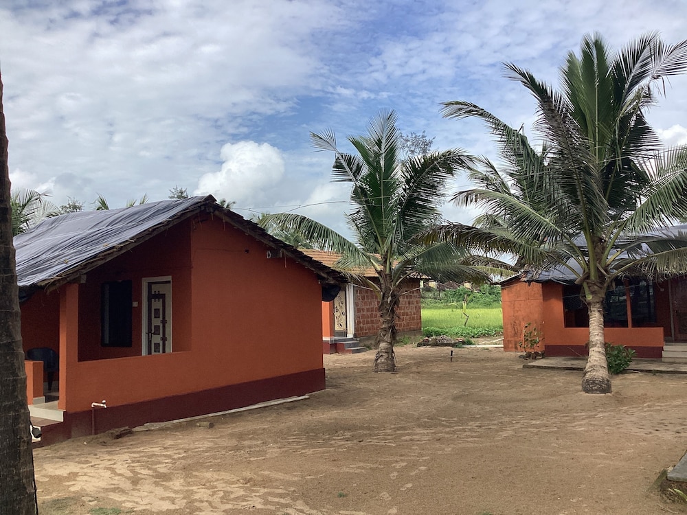 Coconut Tree cottages in Kumta, India