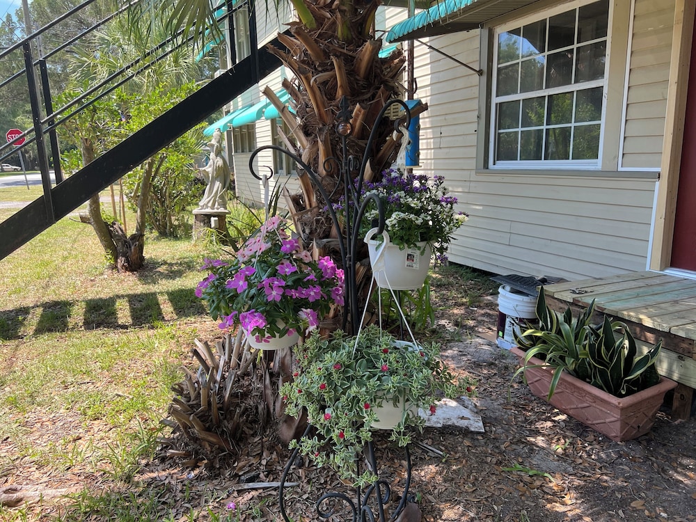 Nature Coast Inn - photo 28