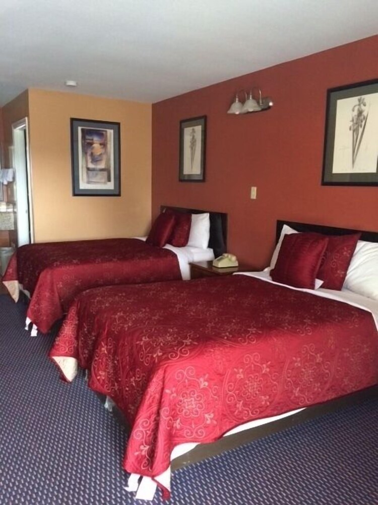 Deluxe Motel - photo 27