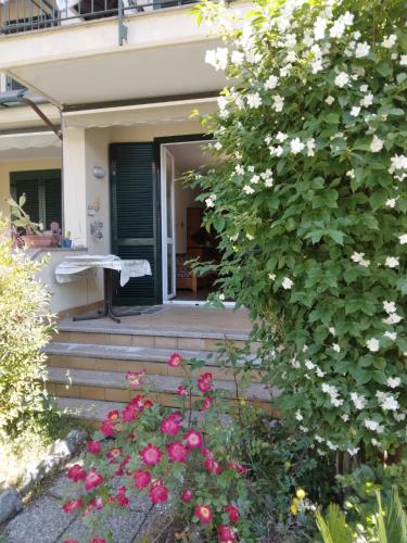 Lago Dorato - carbon neutral hotel in Dervio