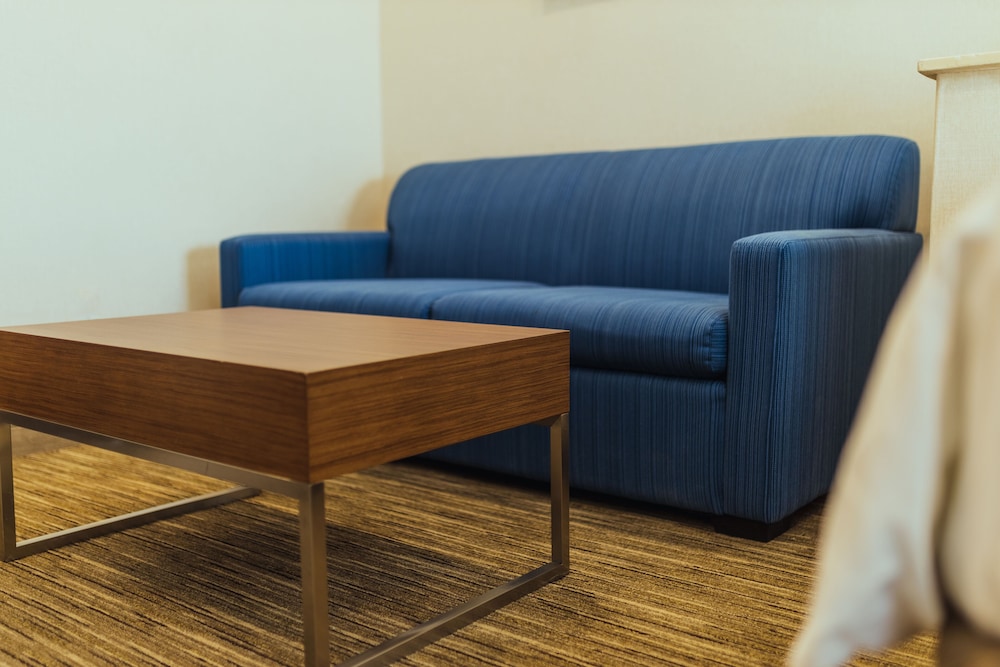 Holiday Inn Express Suites Davis University Area - photo 15