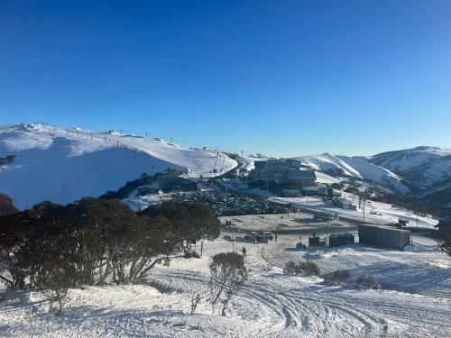 White Crystal 112 — Hotham Heights — photo 2