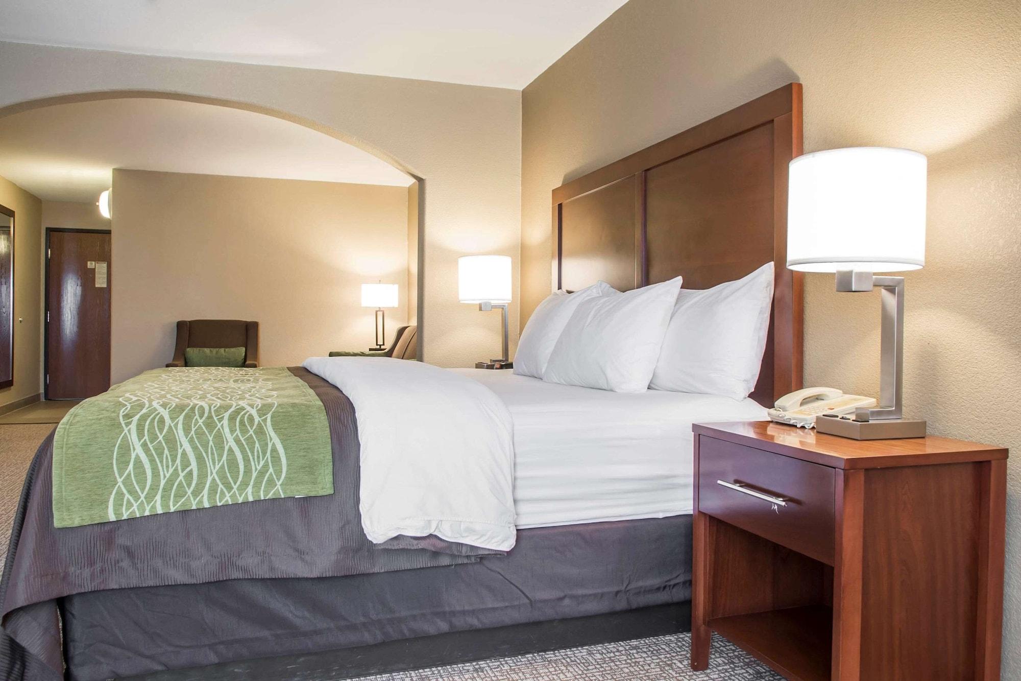 Comfort Inn Edinburg South - photo 17