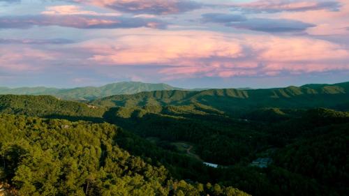 Bear Hugs free tickets no catch in Sevierville, United States