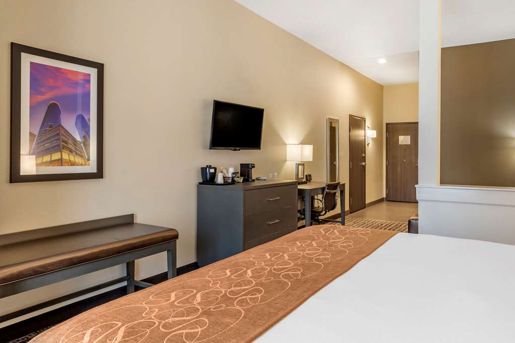 Comfort Suites Near Sam Houston Race Park - photo 5