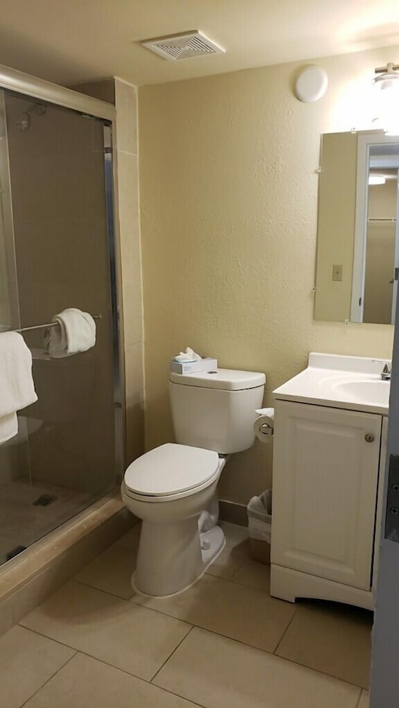 Newly Renovated Studio with Kitchenette - photo 12