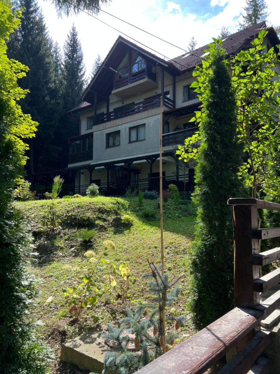 Impala Sinaia Oribi in Sinaia, Romania