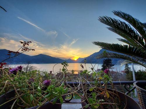 Apartment Terazza Di Ljuta — 4-Star Luxury Hotel in Kotor, Montenegro