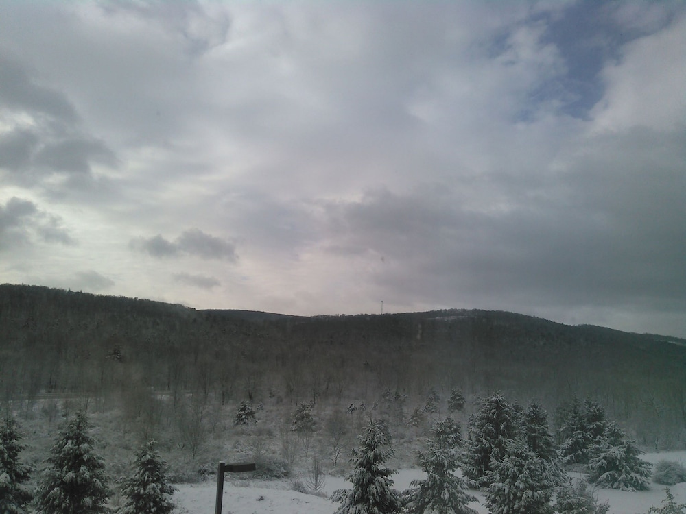 Hampton Inn Pine Grove - photo 90