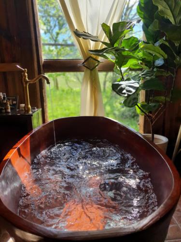 Rancho do Vale Vale Veneto - last minute hotel in Unknown City