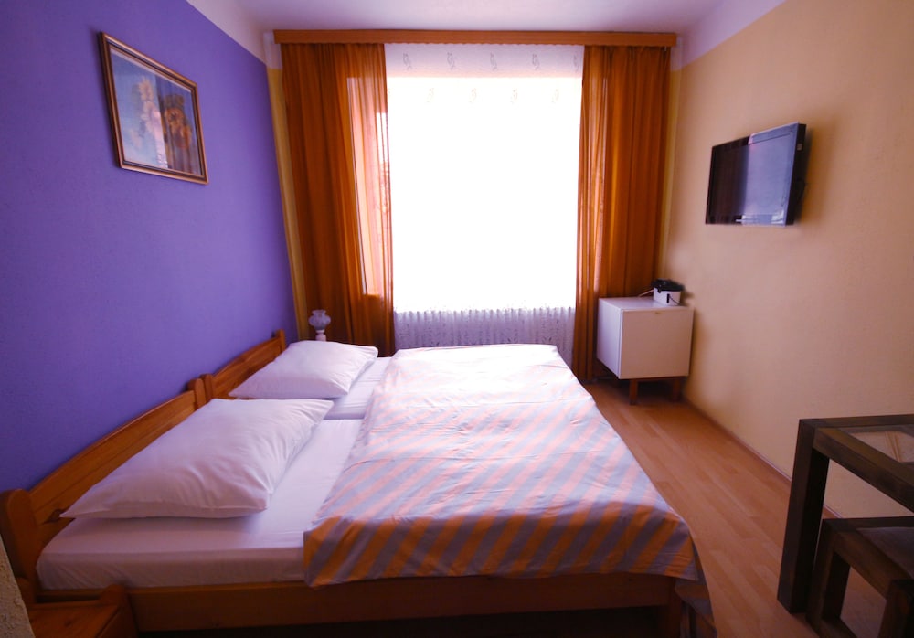 Hotel Bor — Bila Lhota — photo 2