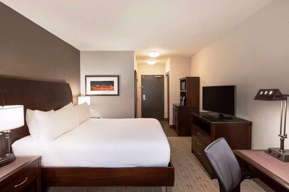 Hilton Garden Inn Denison Sherman At Texoma Event Center - photo 8