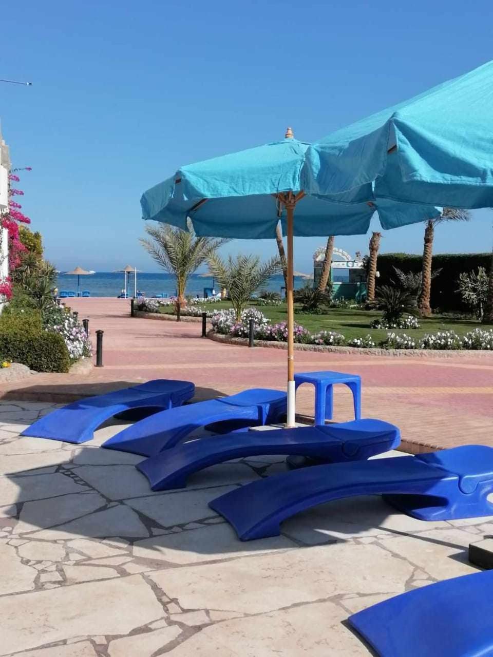 Apartment in Cecelia Resort - last minute hotel in Hurghada