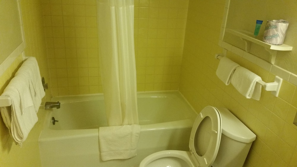 Boston Inn - photo 23