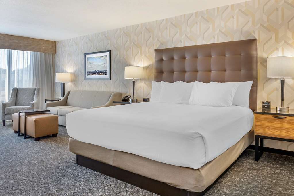 Drury Inn & Suites Southwest St. Louis - photo 27