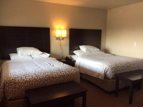 Scenic Shore Inn - photo 47