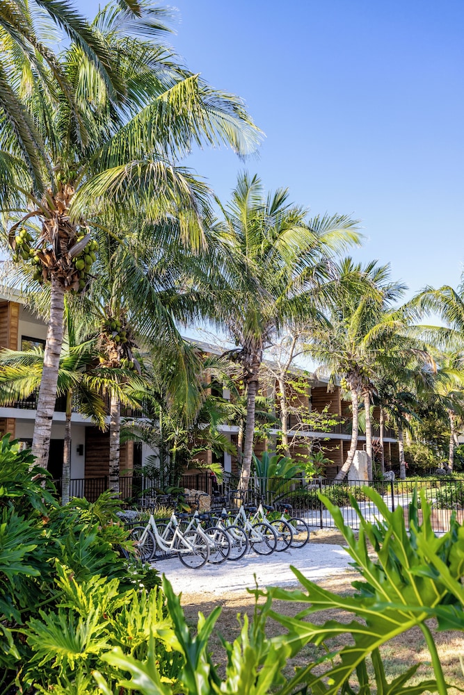 Bali Hai Beachfront Resort and Spa - photo 63