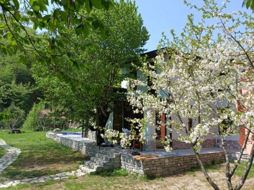Istisu Valley Spa — Ismayilli — photo 4