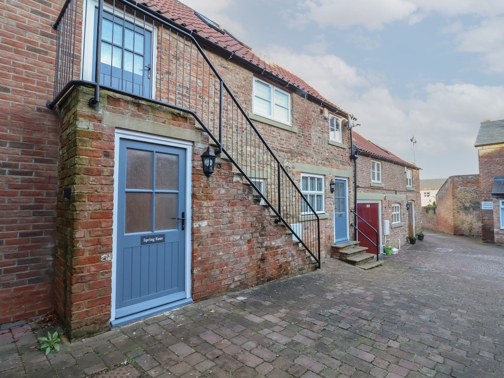 Spring Rose in Bedale, United Kingdom