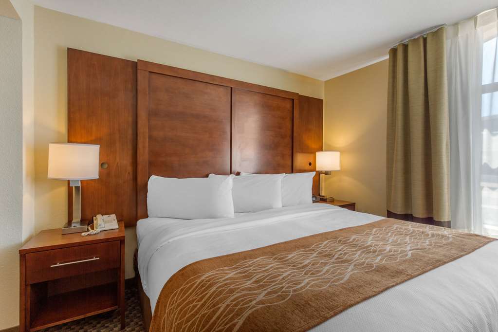 Comfort Inn & Suites SW Houston Sugarland - photo 26