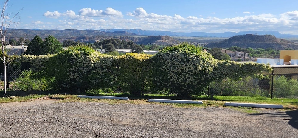 The View Motel - photo 58