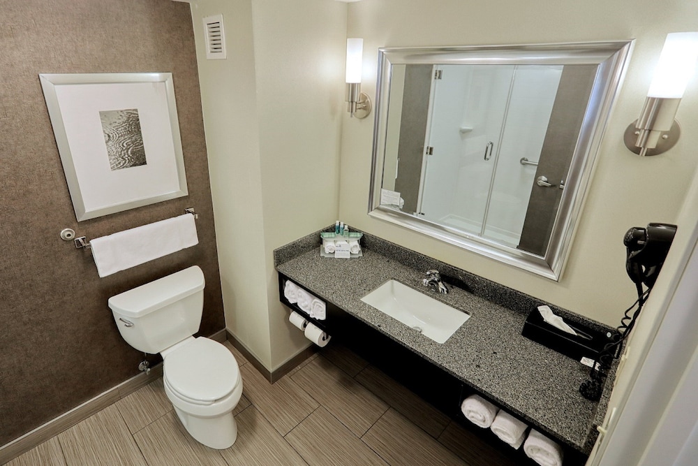 Holiday Inn Express Hotel & Suites Batavia Darien Lake by IHG - photo 17