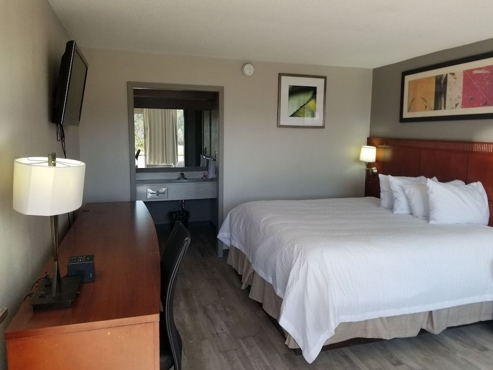 Baymont by Wyndham South Hill - photo 7