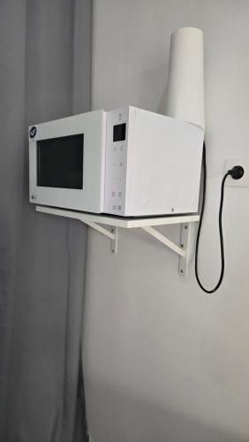 Camélias in Petit-Bourg, Guadeloupe