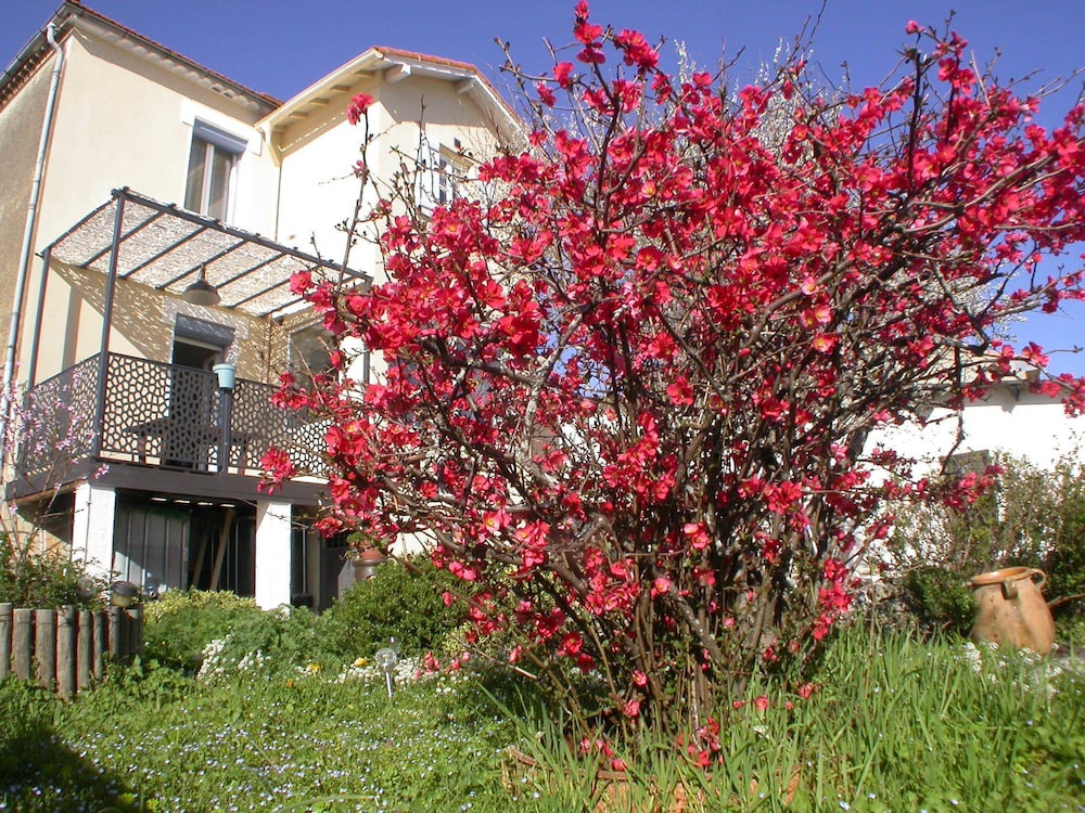 L'agapanthe - last minute hotel in Carcassonne