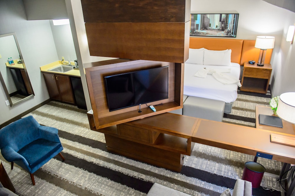 Crowne Plaza Dulles Airport by IHG - photo 10