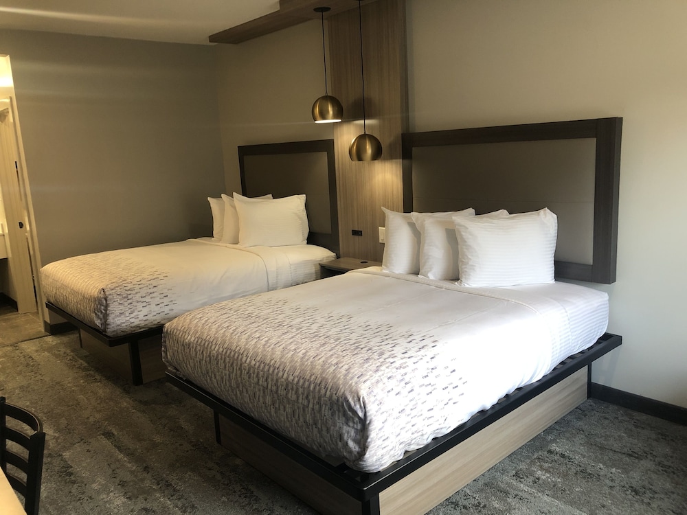 Hotel Solara Hobby Airport - photo 5
