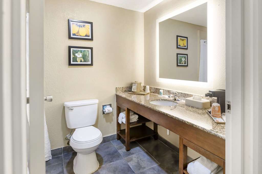 Comfort Inn Meridian Bonita Lakes - photo 26