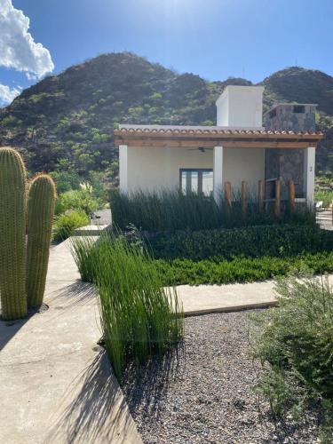 Complejo Los Olivos — Cafayate — photo 3
