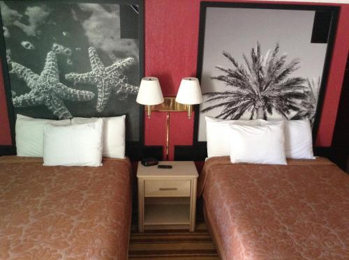 Royal Palace Inn & Suites - photo 3