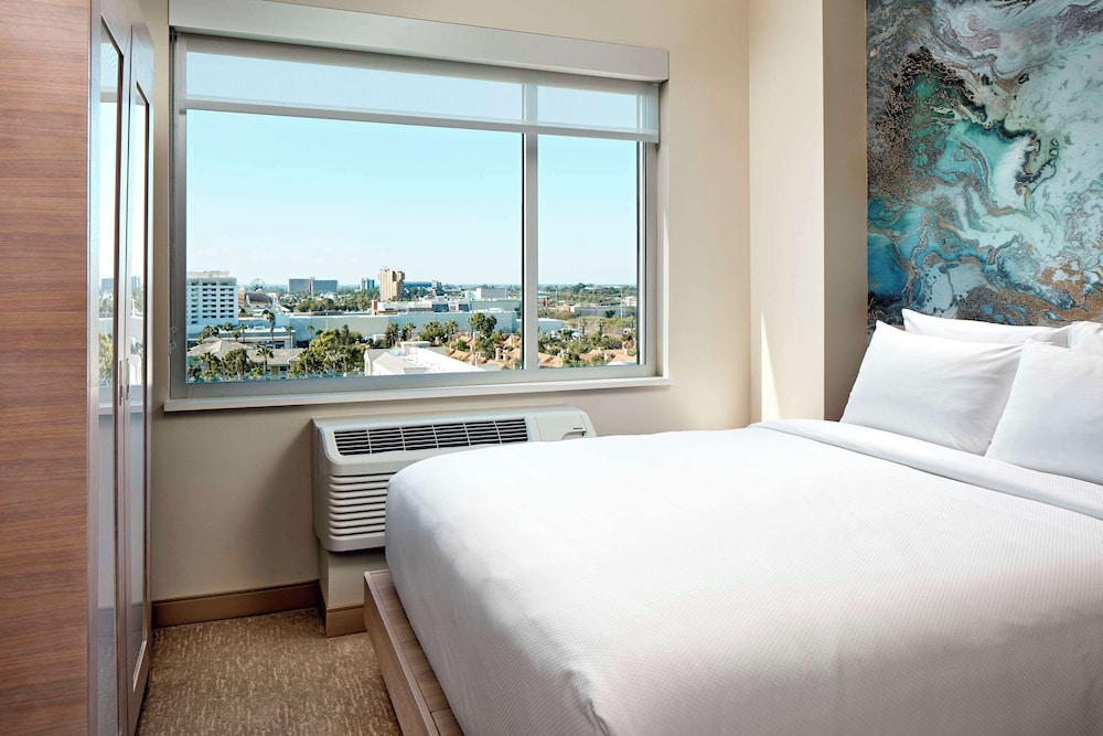 Anaheim Resort Suites - photo 13
