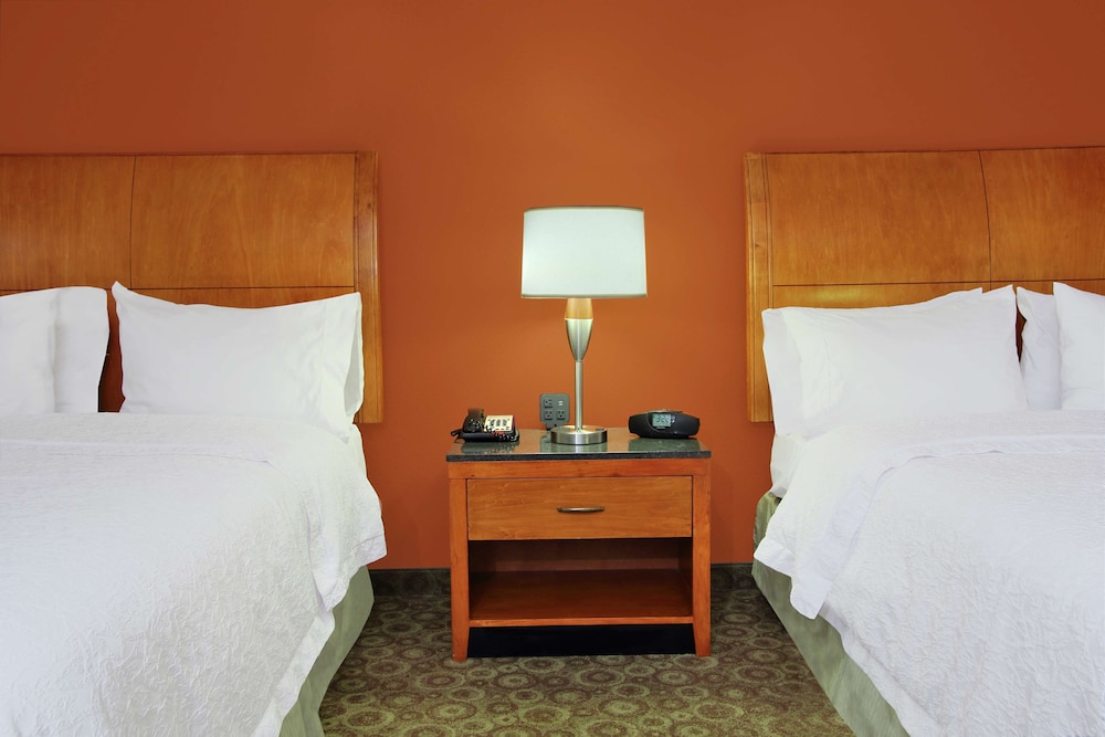 Hampton Inn & Suites Buffalo - photo 13