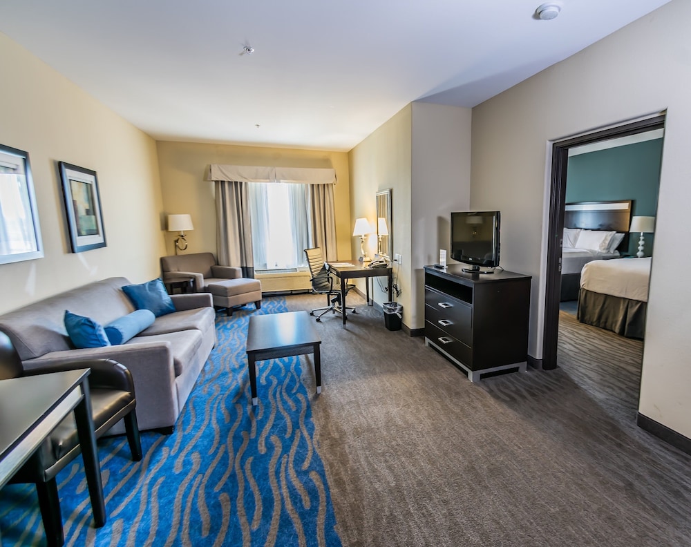 Holiday Inn Houston Webster by IHG - photo 25