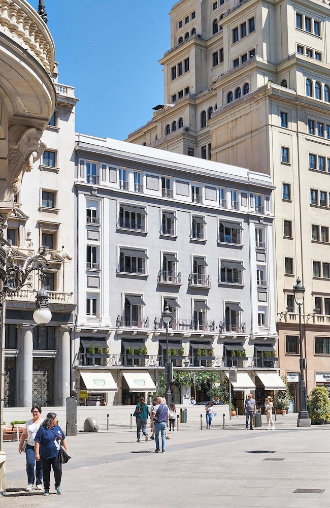 מראה חיצוני