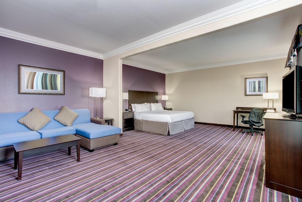 Holiday Inn Express Hotel & Suites Raceland Highway 90 by IHG - photo 11