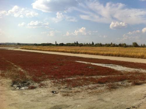 Konstantyn — Berdyansk — photo 2