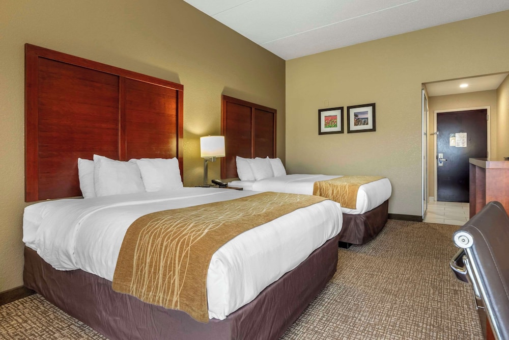 Comfort Inn & Suites Mocksville I 40 - photo 13
