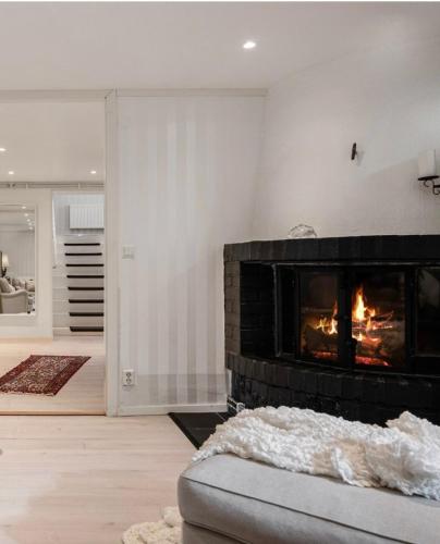 Fredholmsvillan kärra in Goeteborg, Sweden