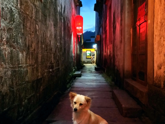 Lvfutang Inn - last minute hotel in Unknown City