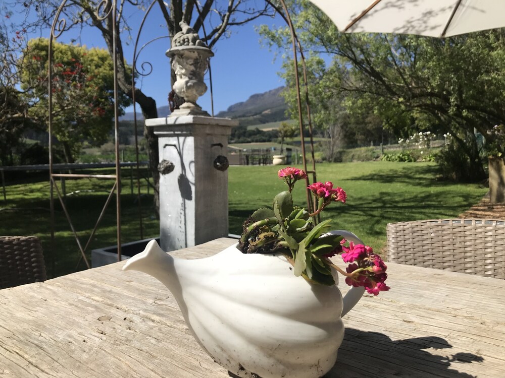 In The Vine Country Manor — 4-Star Luxury Hotel in Stellenbosch, South Africa